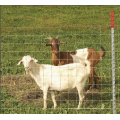 Clôture des prairies de bonne qualité / Clôture des moutons